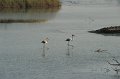 21.10.2012 Saline di Priolo (81)